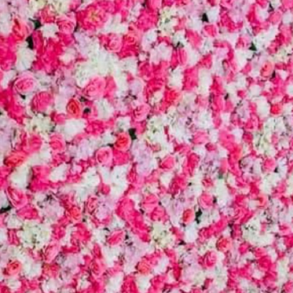 Meet your Posher, Tsahai